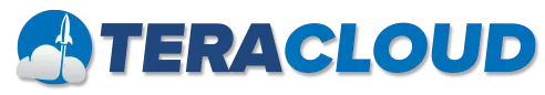 TeraCloud Managed IT Solutions Logo